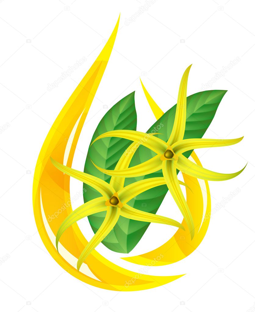 Essential oil of ylang-ylang. Stylized drop.