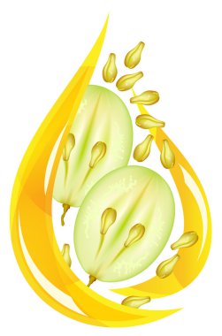 Grape seed oil. Stylized drop. clipart