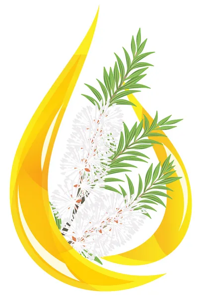 Melaleuca - arbre à thé. Goutte d'huile essentielle stylisée . — Image vectorielle