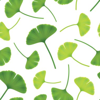 Leaves of ginkgo bilboa. Seamless vector illustration. clipart