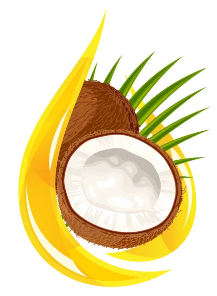 Kokosolie. gestileerde daling. — Stockvector