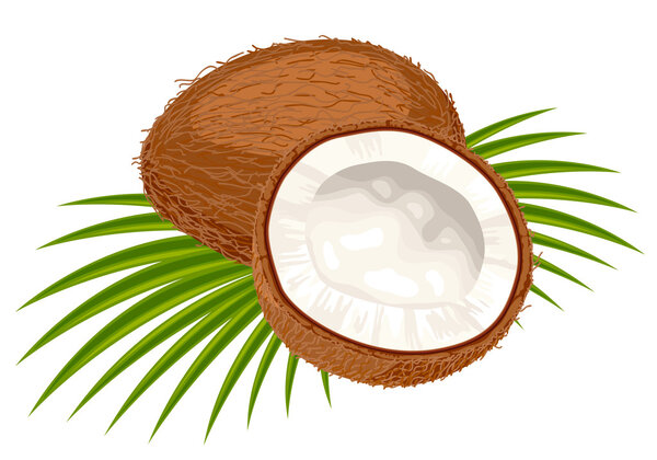 Coconut with leaves on a white background.
