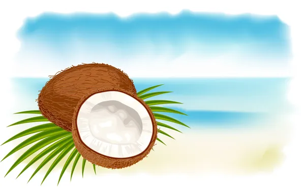 Rijpe kokosnoten, zee en strand. — Stockvector