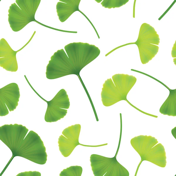 Leaves of ginkgo bilboa. Seamless vector illustration. — Stock Vector