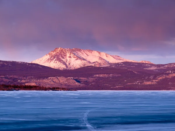 MT. laurier och sjön laberge, yukon-territoriet, Kanada — Stockfoto