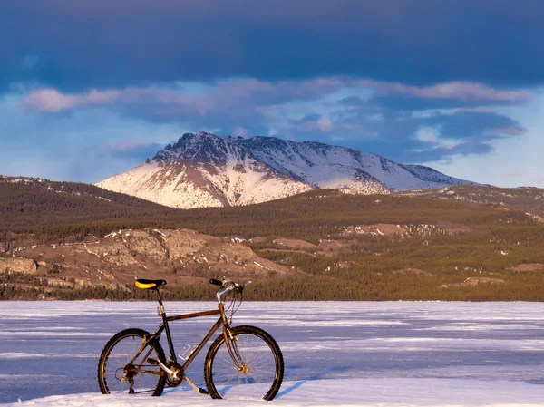 Bicicleta en el lago congelado Laberge, Yukón, Canadá —  Fotos de Stock