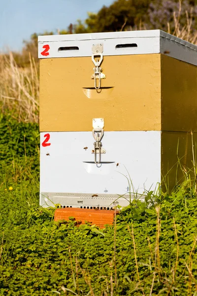 stock image Beehive in the Field