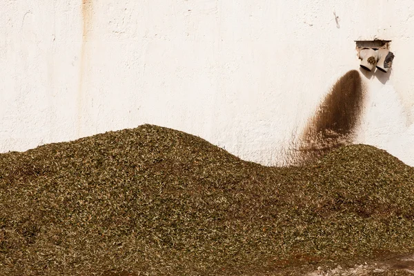 Resíduos de moinho de azeitona: folhas de azeitona — Fotografia de Stock