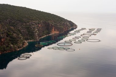 Offshore open sea fishfarm clipart