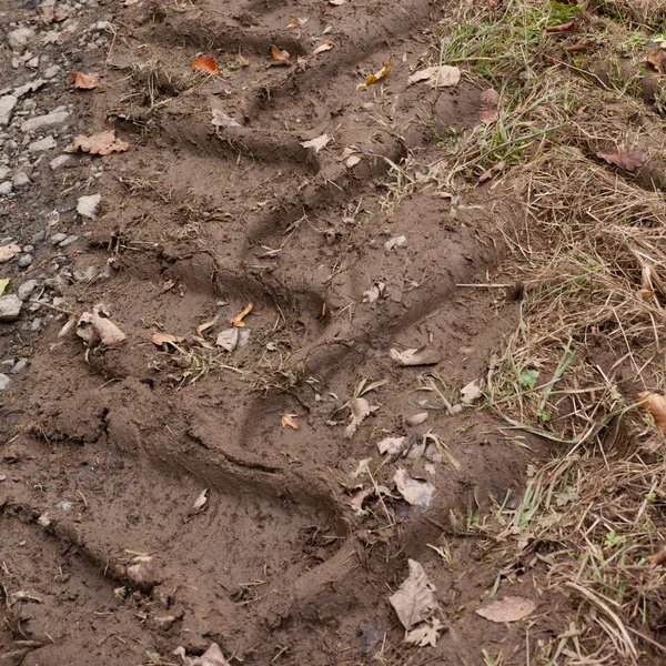 Traktor spår i leran — Stockfoto
