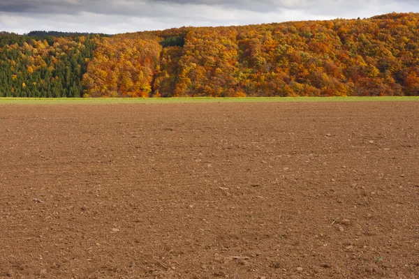 Feld bereit für die Aussaat von Wintergetreide — Stockfoto