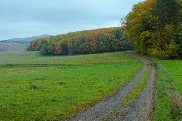 Айфель пейзаж, Германия — стоковое фото