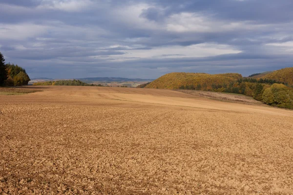 冬の穀物の種まきの準備ができてフィールド — ストック写真