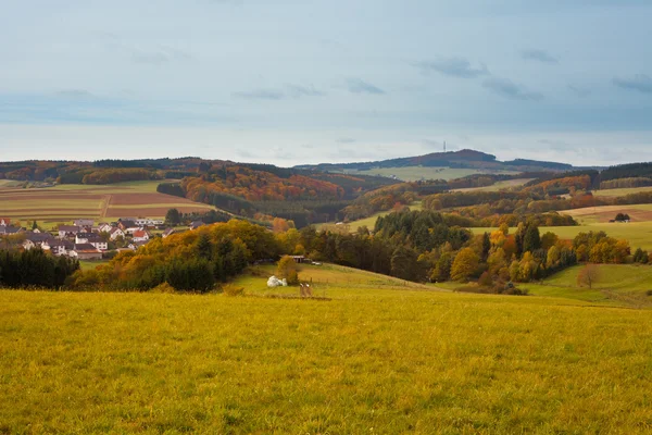 Landschap van de Eifel, Duitsland — Stockfoto