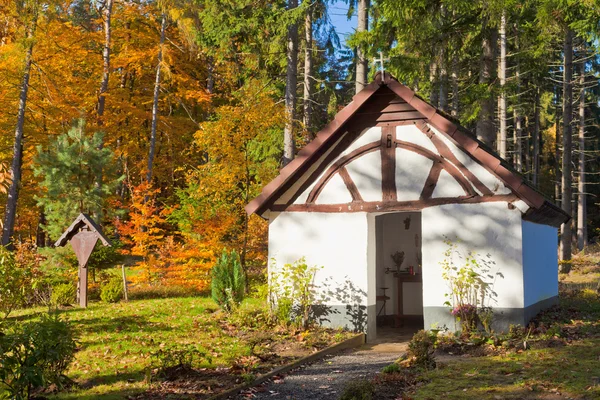 Historische kapel in fall bos, eifel, Duitsland — Stockfoto