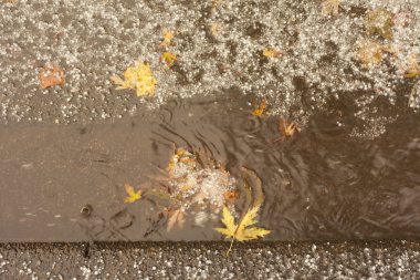 HailStorm ikinci tur ve sonbahar yaprak yol kaldırım.