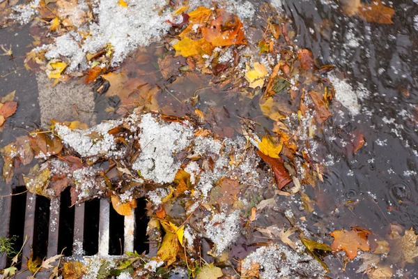 Clogged sewer blocks rainwater runoff — Stock Photo, Image