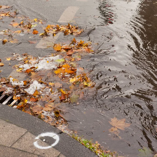Verstopte riool blokken regenwater afvoer Rechtenvrije Stockfoto's