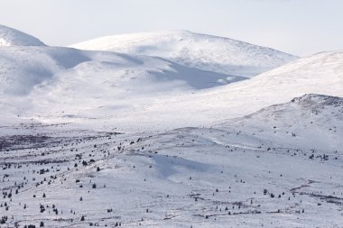 Alpine tundra in winter clipart