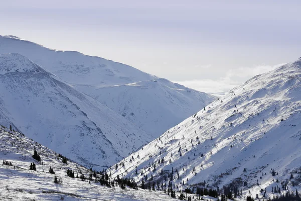 雪に覆われた山の地形 — ストック写真