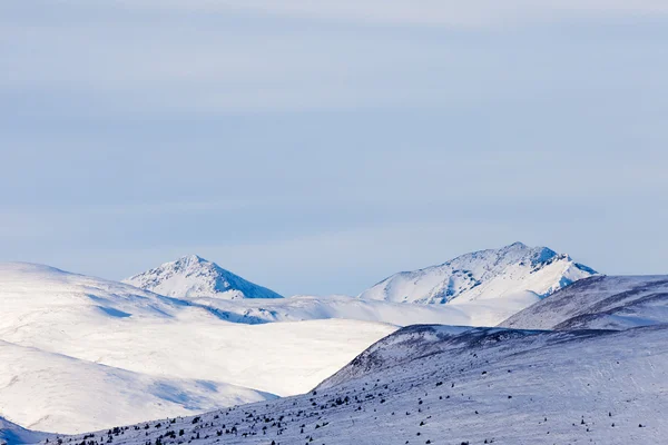 Tundra alpina en invierno — Foto de Stock