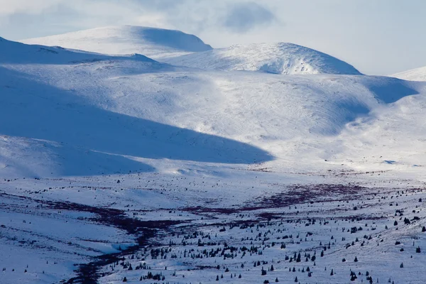 冬の高山のツンドラ — ストック写真