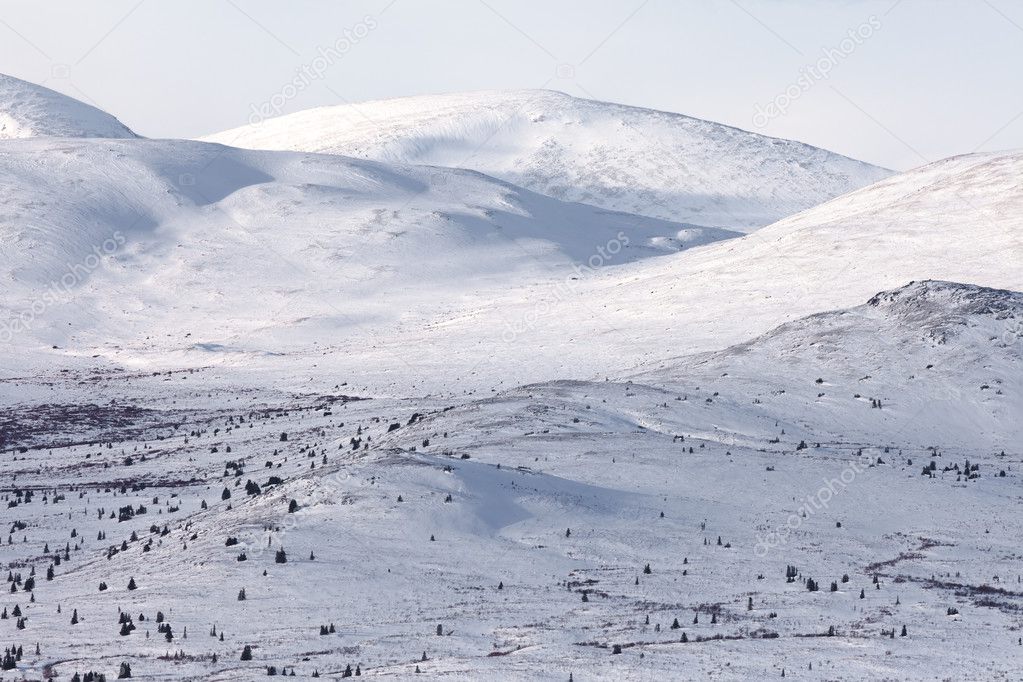 Alpine tundra in winter