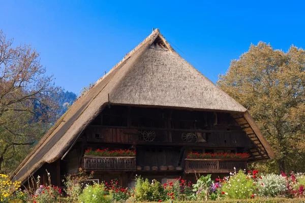 Tarihi Kara Orman çiftlik evi — Stok fotoğraf