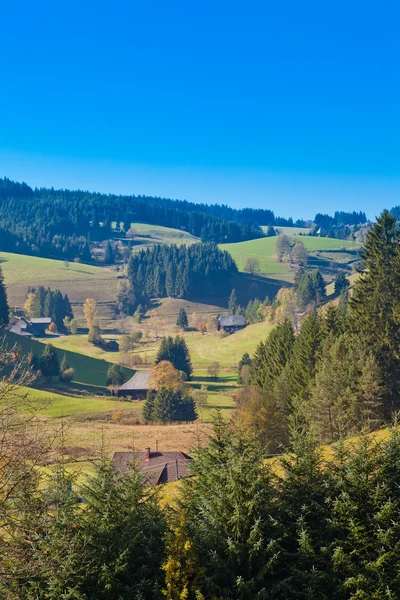 Black Forest Landscape — Stock Photo, Image