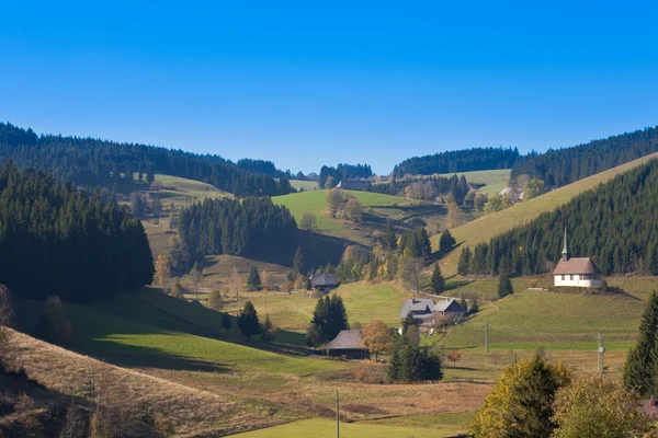 Svart skogslandskap — Stockfoto