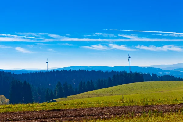Svart skogslandskap med vindkraftverk — Stockfoto