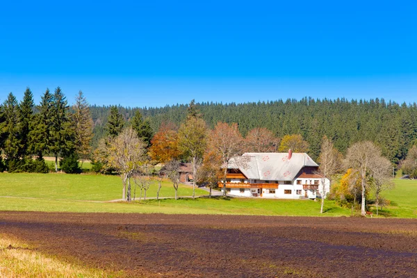 Typisk Schwarzwald gård – stockfoto