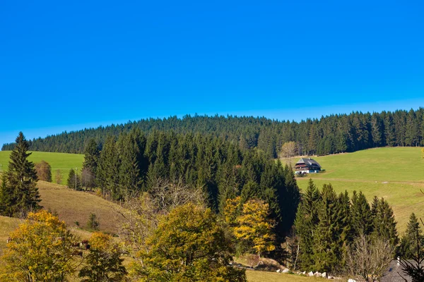 Black Forest Landscape — Stock Photo, Image