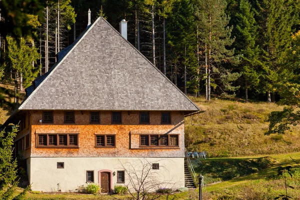 Casa tipica Foresta Nera — Foto Stock