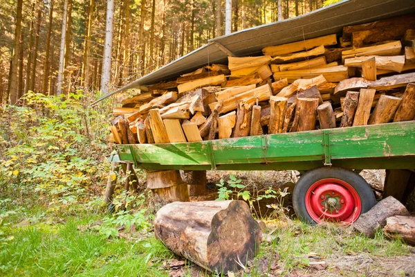 Belasting van brandhout — Stockfoto