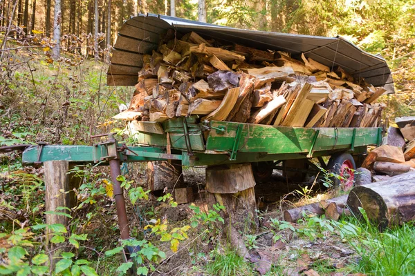 Завантаження дров — стокове фото