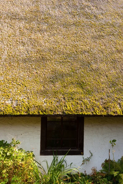 Historisches Schwarzwald Bauernhaus Detail — Stockfoto