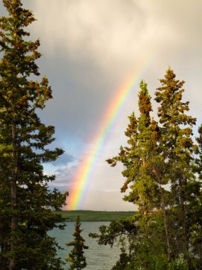 Gökkuşağının üstünde yt, Kanada yılında boreal Forest lake