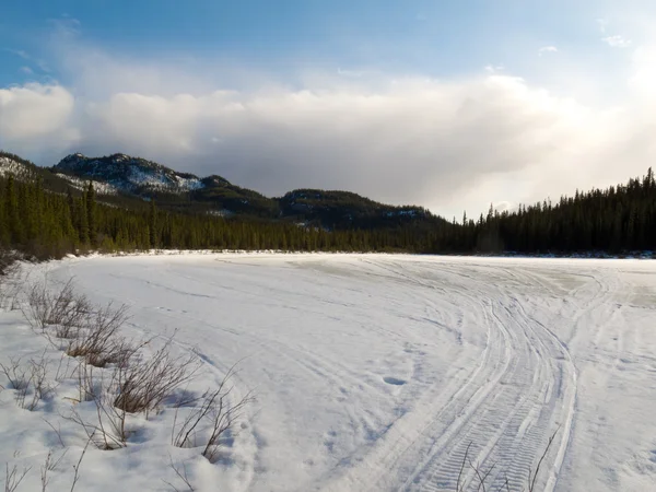 Trilha de inverno bem usada na floresta boreal — Fotografia de Stock