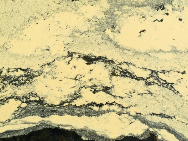 Pólen de árvores de abeto preto na superfície da água — Fotografia de Stock