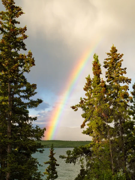 Rainbow over lake in boreal forest in YT, Canada — Stock Photo, Image
