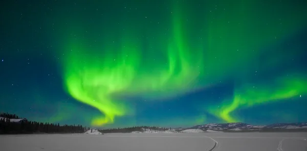 Northern Lights (Aurora borealis) — Stockfoto