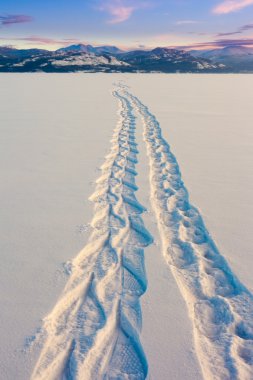 Snowshoe Tracks clipart