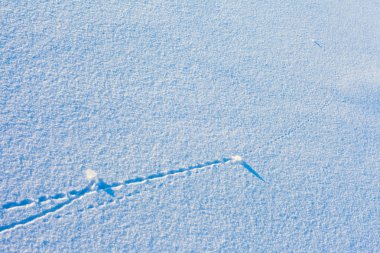 Trajectory lines on snow surface clipart