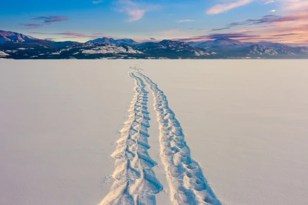 Snowshoe Tracks — Stock Photo, Image