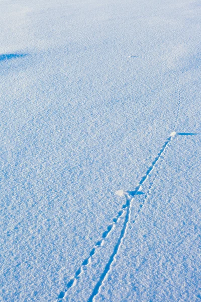 Flugbahnlinien auf der Schneeoberfläche — Stockfoto