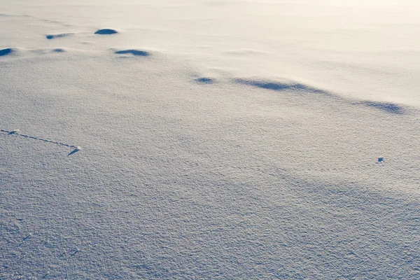 Траектории на поверхности снега — стоковое фото