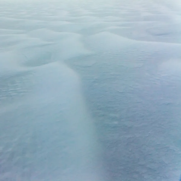 Paisagem de neve à deriva — Fotografia de Stock