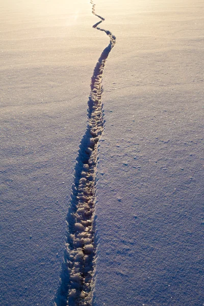 Широкая трещина в поверхности снега и льда — стоковое фото