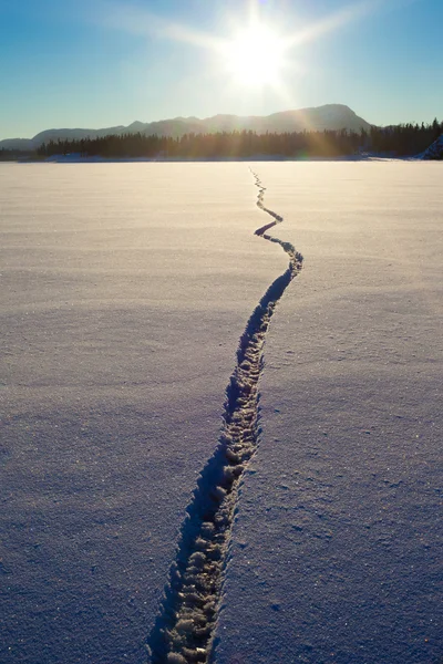 Широкая трещина в поверхности снега и льда — стоковое фото